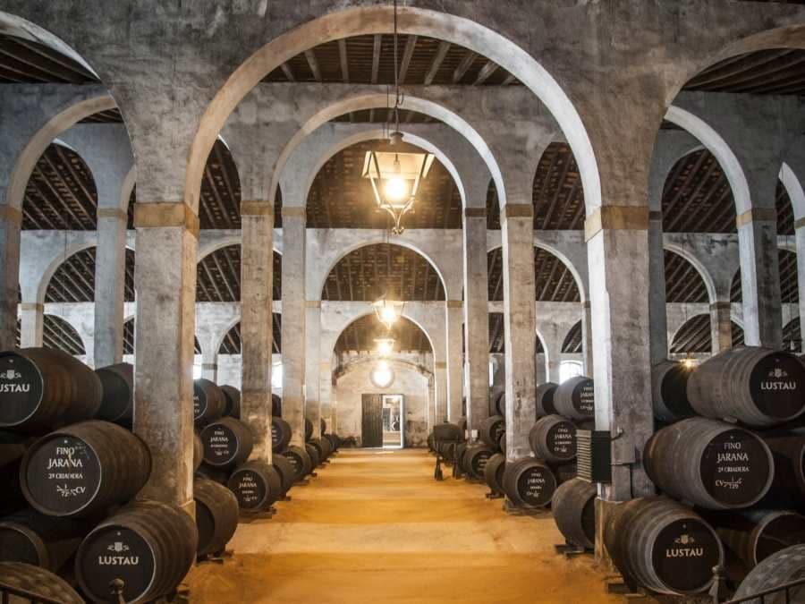 Vinos y Bodegas